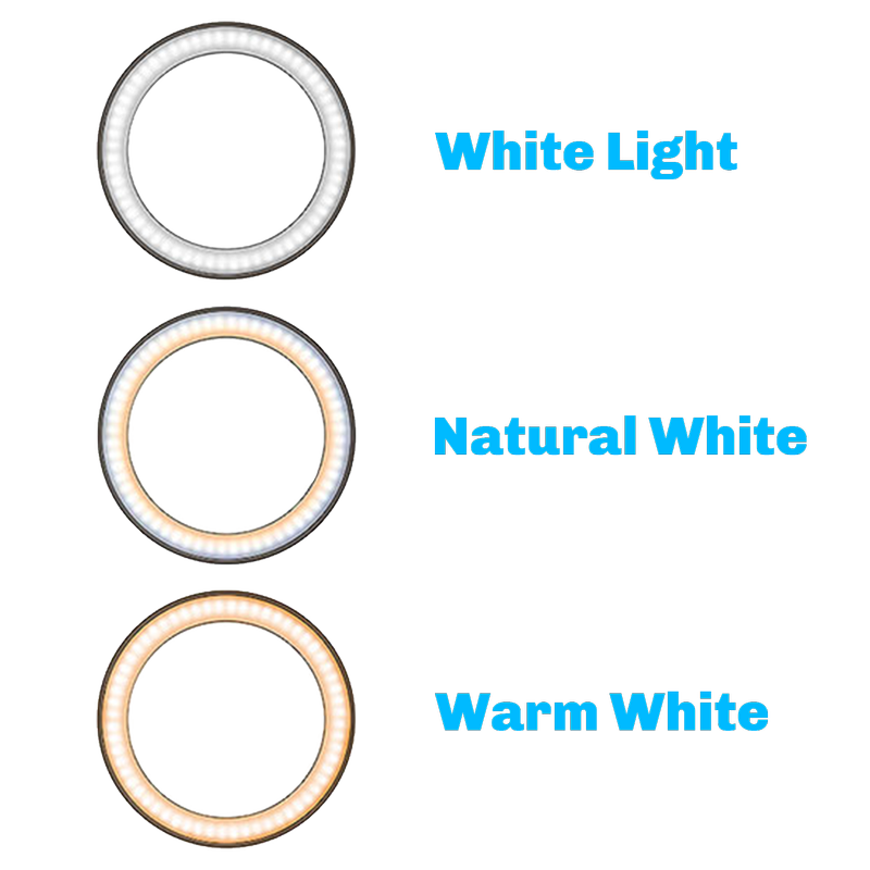 LED Aurora Ring Light Black 10in