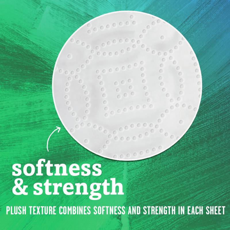 Seventh Generation 2ct Recycled Paper Towels