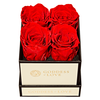 Goddess of Love Preserved Roses 4ct