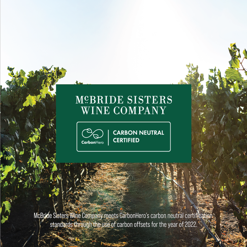 McBride Sisters Black Girl Magic Red Blend 750ml 13.5% ABV