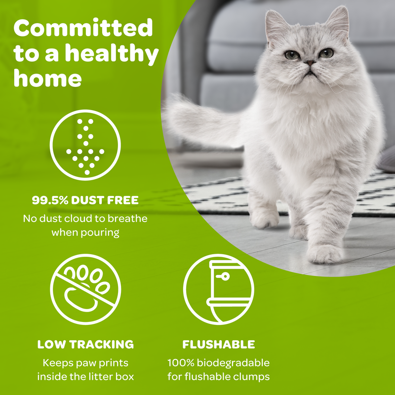 SwheatScoop Multi Cat Natural Cat Litter 15lb