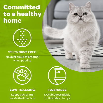 SwheatScoop Multi Cat Natural Cat Litter 15lb
