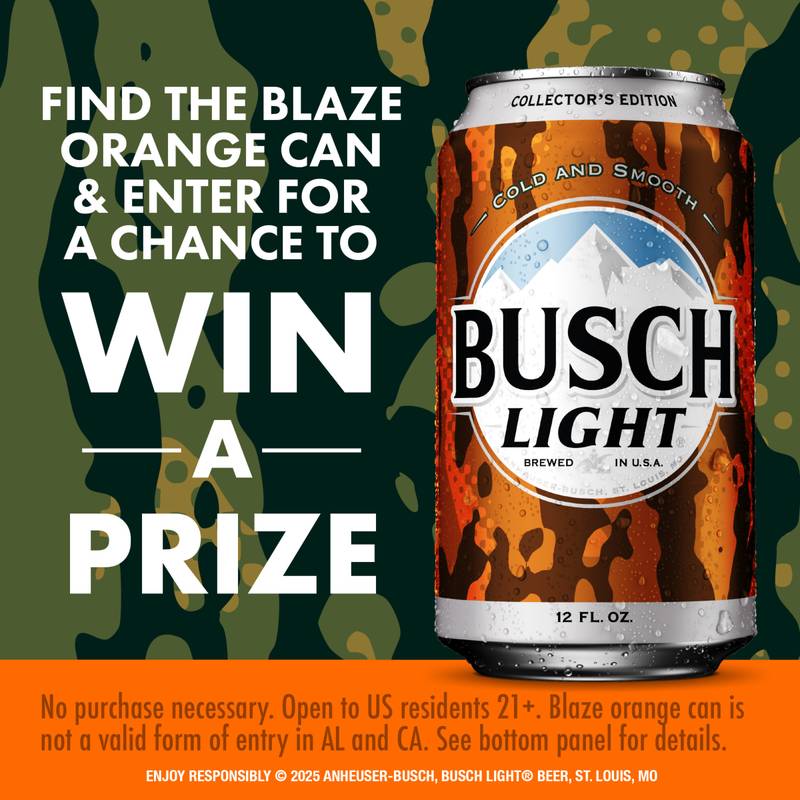 Busch Light 12pk 12oz Can 4.1% ABV