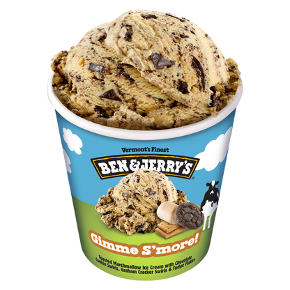 Ben & Jerry's Gimme S'More Ice Cream Pint