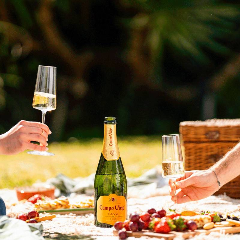 Campo Viejo Cava Brut Reserva 750ml 12% ABV - Campo Viejo – BevMo!