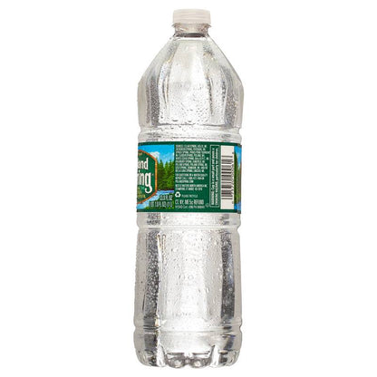 Poland Spring Water 1L Btl