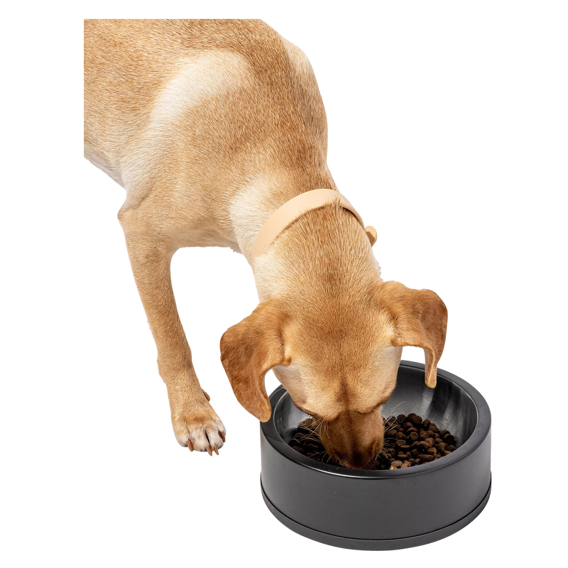 Wild One Black Standard Bowl