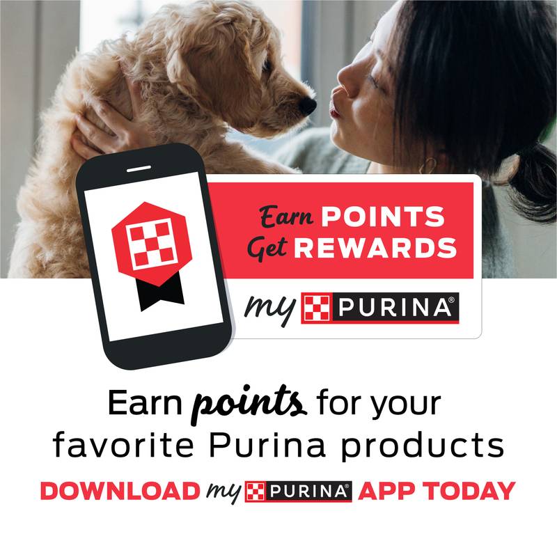 Purina Beneful Original Beef Dry Dog Food 3.5lb