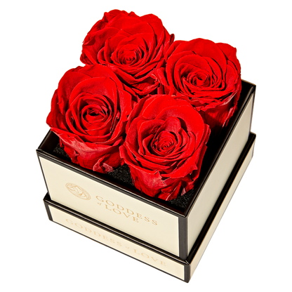 Goddess of Love Preserved Roses 4ct