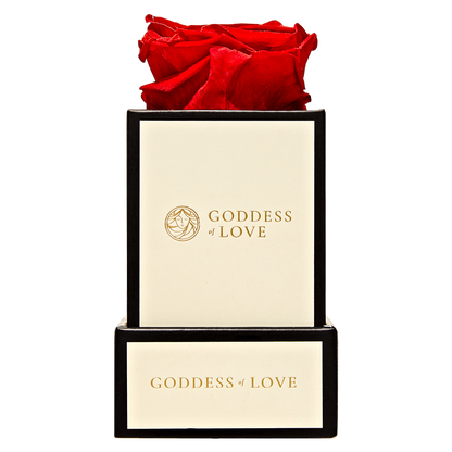 Goddess of Love Preserved Rose 1ct