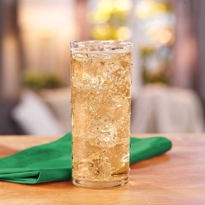 Canada Dry Ginger Ale 6pk 10oz Btl