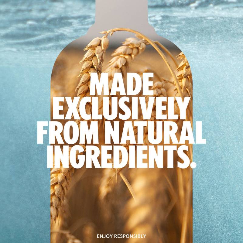Absolut Citron Flavored Vodka 1L (80 Proof)