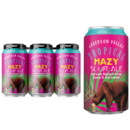 Anderson Valley Brewing Company Hazy Tropical Sour Ale 6pk 12oz Can 4.2% ABV