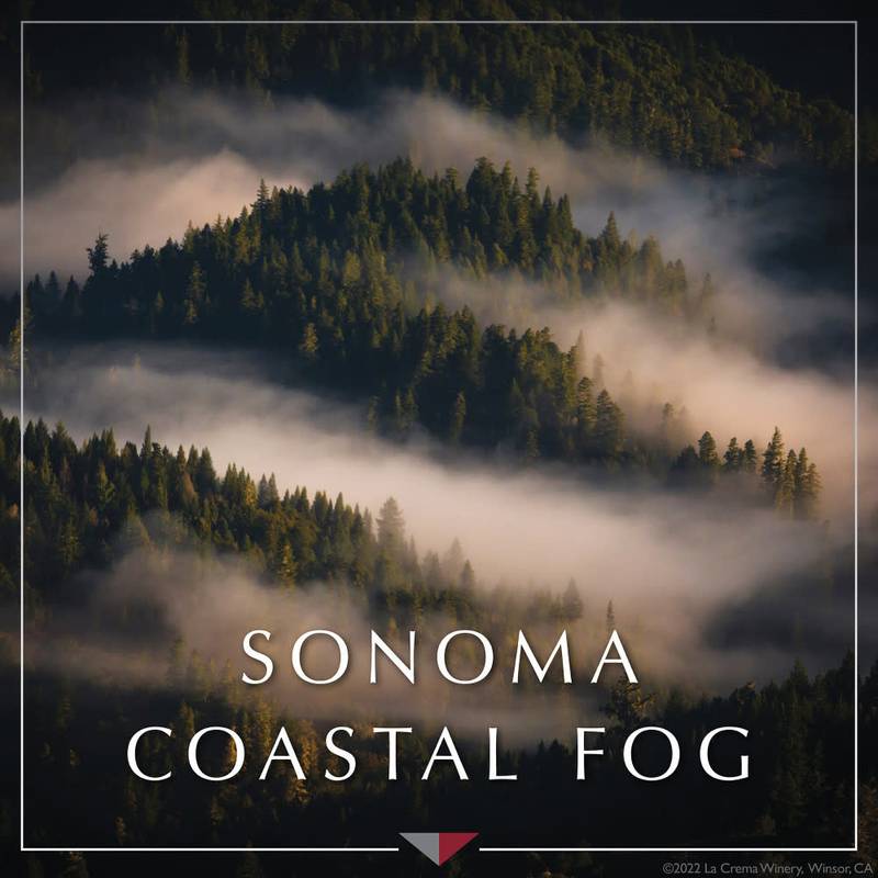 La Crema Sonoma Coast Pinot Noir 375ml