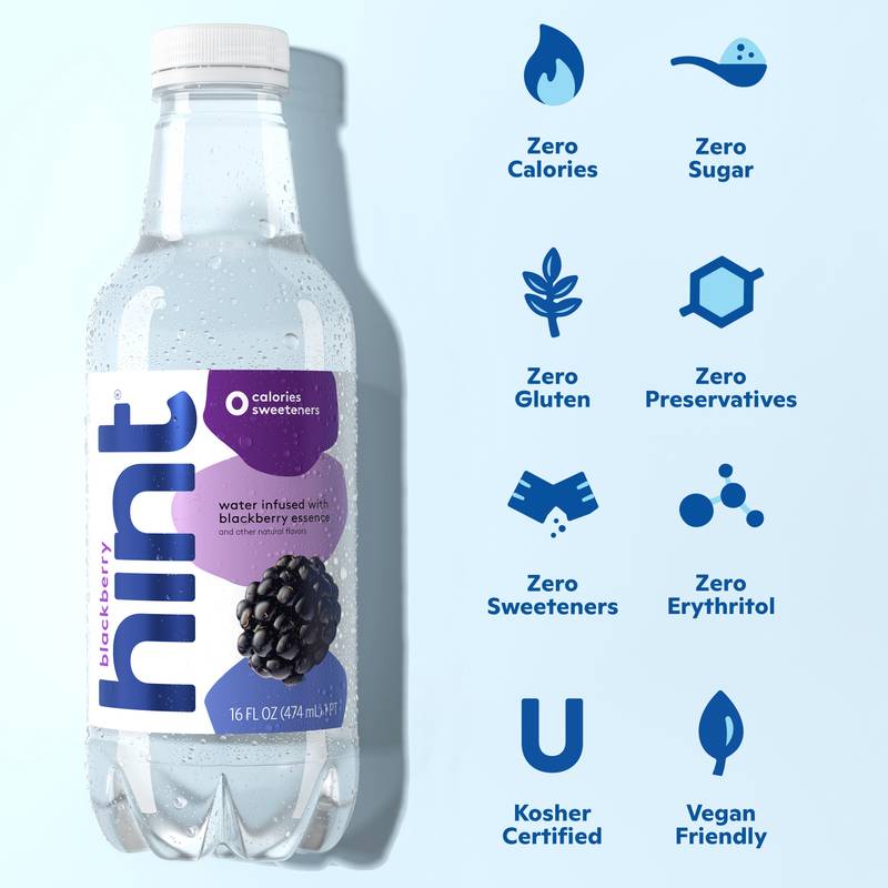 Hint Blackberry Water 16oz Btl