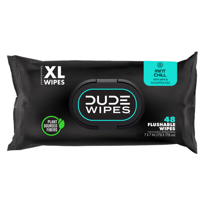 DUDE Wipes XL Flushable Wipes Dispenser Mint Chill with Mint, Eucalyptus, and Tea Tree Essential Oil 48ct 3 pack