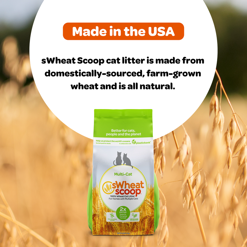 SwheatScoop Multi Cat Natural Cat Litter 15lb