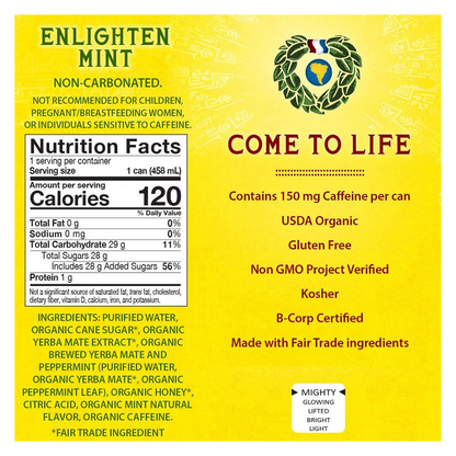 Guayaki Yerba Mate Organic Enlighten Mint 15.5oz Can