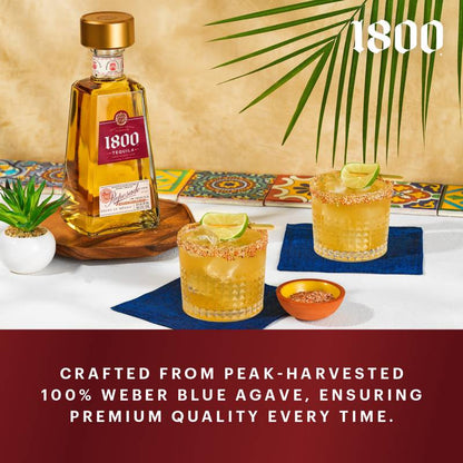 1800 Tequila Reposado 50ml (80 Proof)