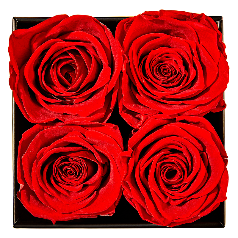 Goddess of Love Preserved Roses 4ct - Goddess of Love – BevMo!