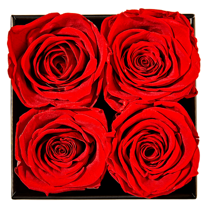 Goddess of Love Preserved Roses 4ct