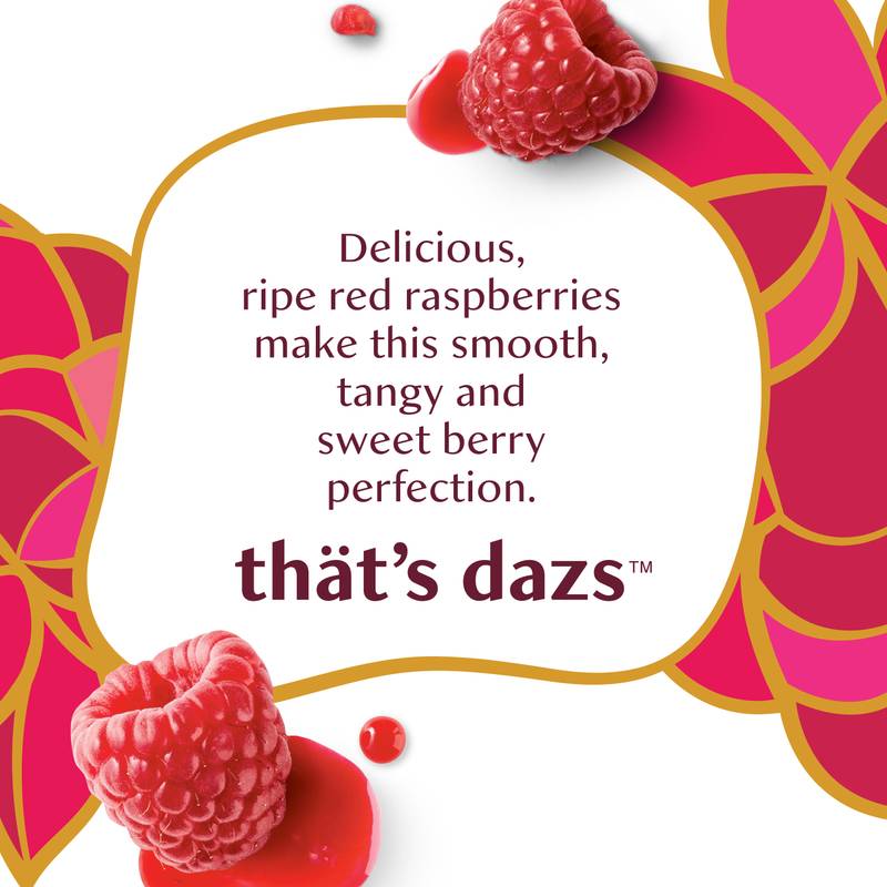 Haagen-Dazs Dairy Free Raspberry Sorbet 14oz