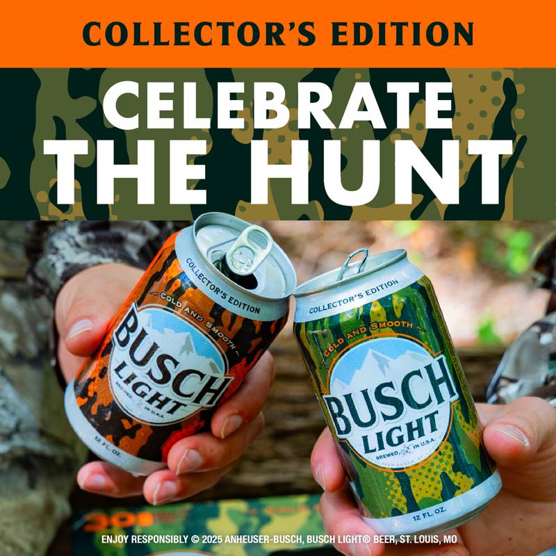 Busch Light 30pk 12oz Can 4.1% ABV