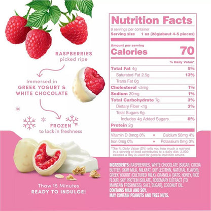 Tru Fru Frozen Greek Yogurt Raspberries 8oz
