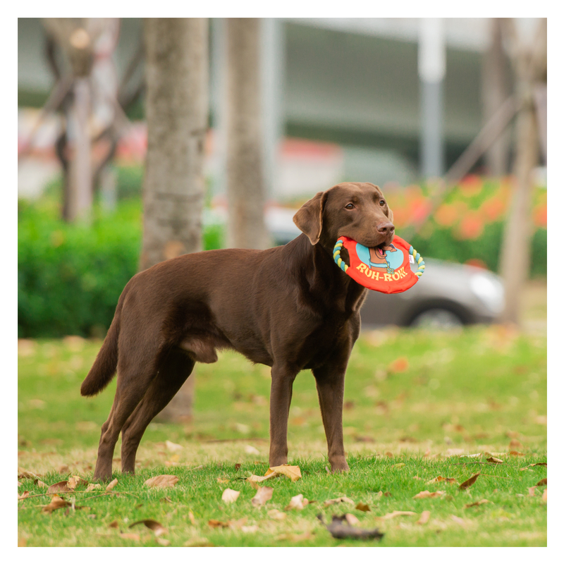 Scooby Doo Ruh-Roh Frisbee Toy