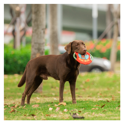Scooby Doo Ruh-Roh Frisbee Toy