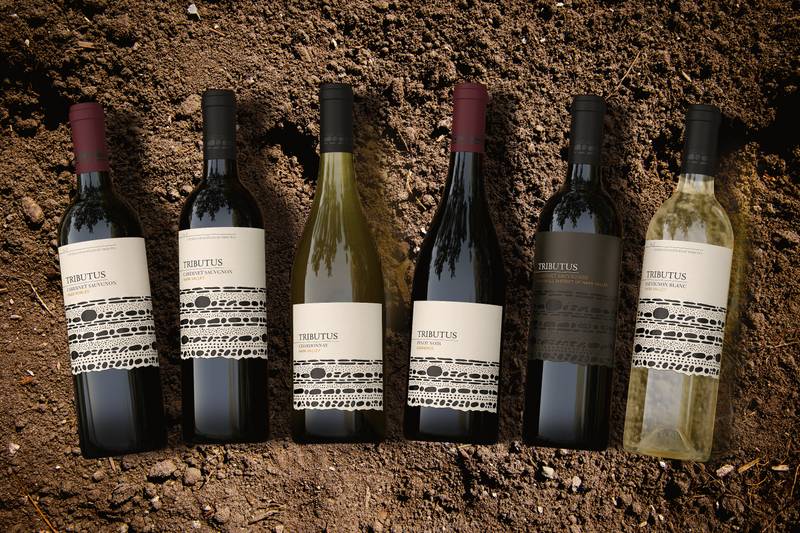 Tributus Paso Robles Cabernet Sauvignon 750ml - Tributus – BevMo!