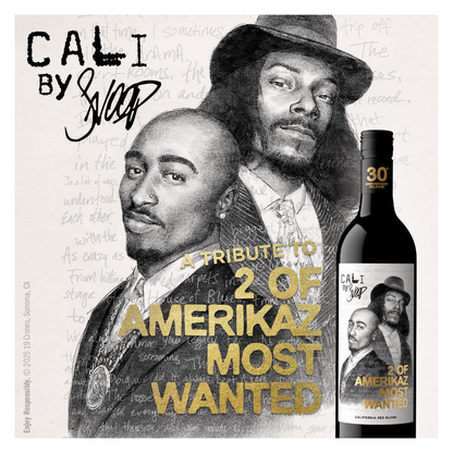 19 Crimes 2 of Amerikaz Most Wanted Red Blend 750ml
