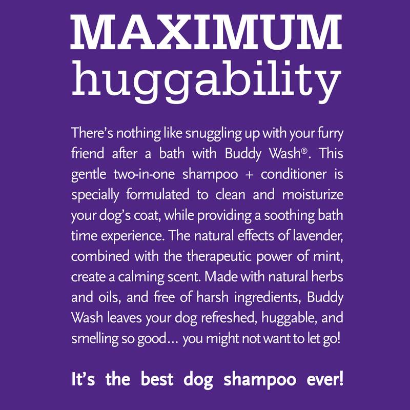 Buddy Wash Lavender & Mint 2 in 1 Dog Shampoo Plus Conditioner, 16oz.