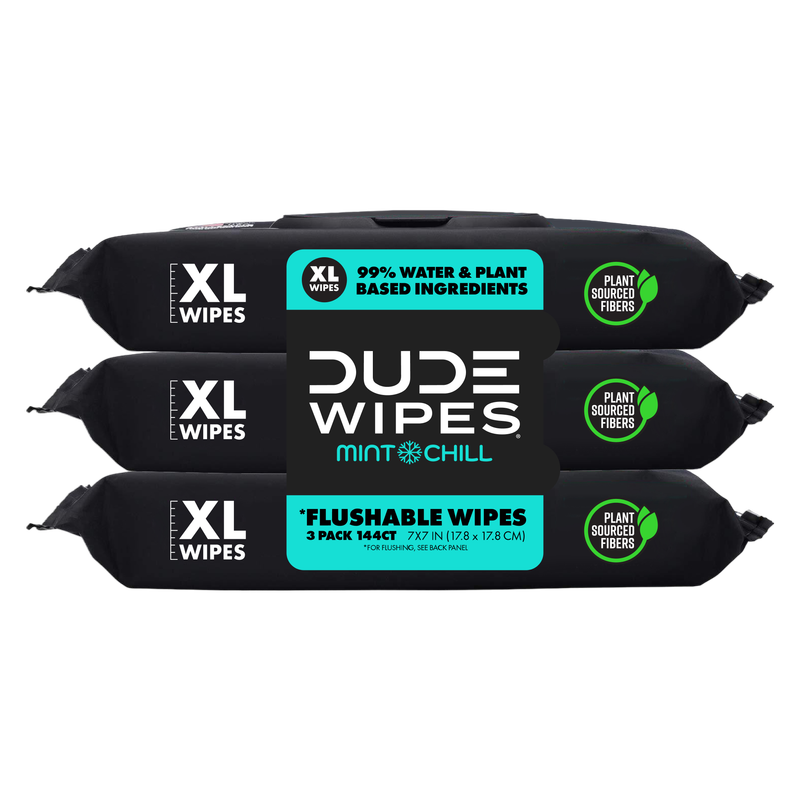 DUDE Wipes XL Flushable Wipes Dispenser Mint Chill with Mint, Eucalyptus, and Tea Tree Essential Oil 48ct 3 pack