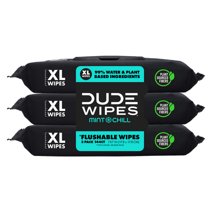 DUDE Wipes XL Flushable Wipes Dispenser Mint Chill with Mint, Eucalyptus, and Tea Tree Essential Oil 48ct 3 pack
