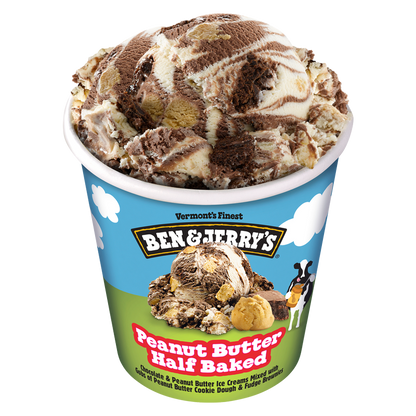 Ben & Jerry's Peanut Butter Half Baked Ice Cream Pint
