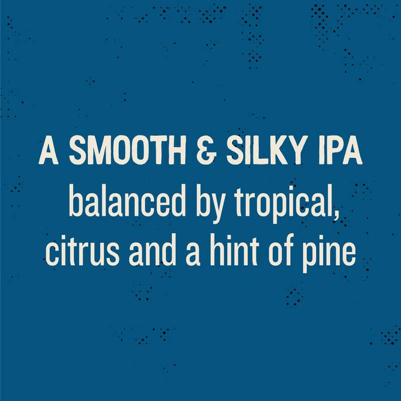 Lagunitas a Little Sumpin' Sumpin' Ale, 12 Pack, 12 fl. oz. Cans