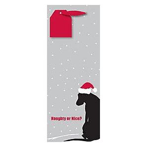 Bottle Bag Naughty Or Nice