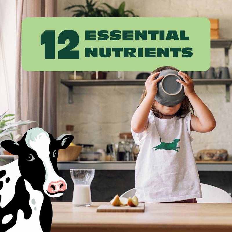Organic Valley Non-Fat Milk 1/2 Gallon