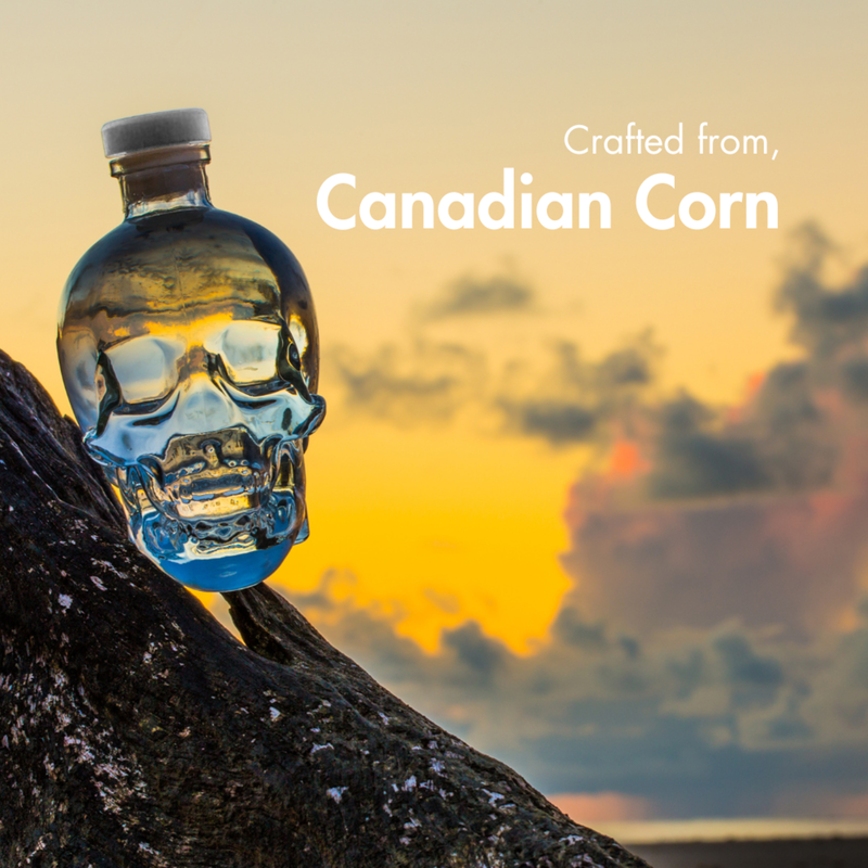 Crystal Head Vodka 750ml (80 Proof) - Crystal Head – BevMo!