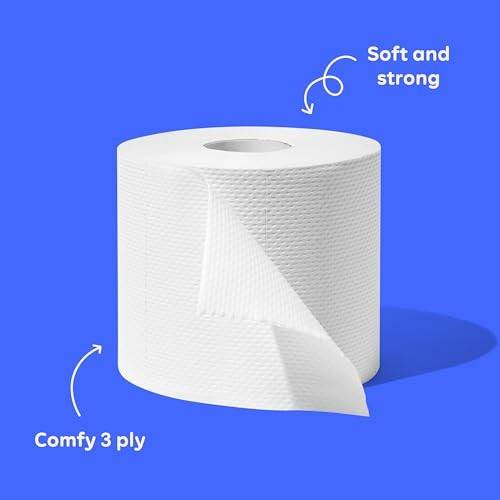 Who Gives a Crap 4ct 100% Recycled Double Length Toilet Paper Rolls