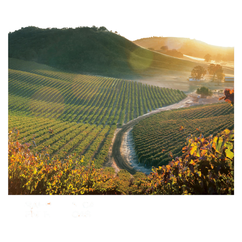 Justin Rosé Paso Robles 750ml