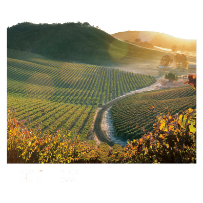 Justin Rosé Paso Robles 750ml