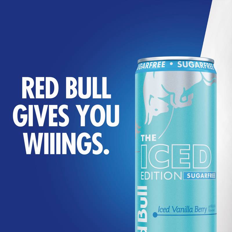 Red Bull Sugar Free Iced Vanilla Berry Energy Drink 12oz Can