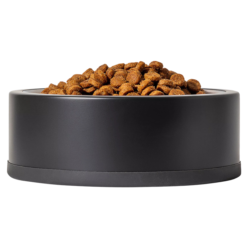 Wild One Black Standard Bowl