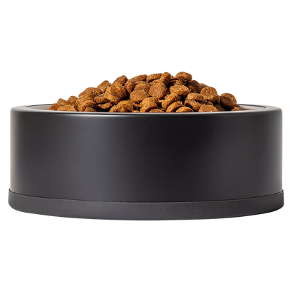 Wild One Black Standard Bowl