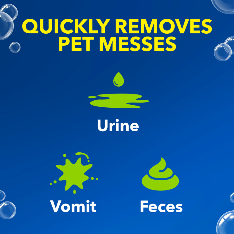 OxiClean Carpet & Area Rug Pet Stain & Odor Remover 24oz