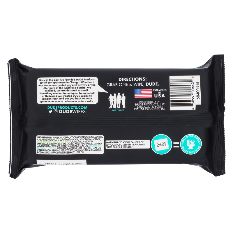 DUDE Wipes XL Flushable Wipes Dispenser Mint Chill with Mint, Eucalyptus, and Tea Tree Essential Oil 48ct 3 pack