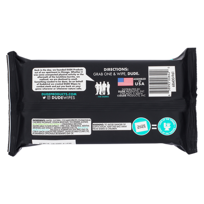 DUDE Wipes XL Flushable Wipes Dispenser Mint Chill with Mint, Eucalyptus, and Tea Tree Essential Oil 48ct 3 pack