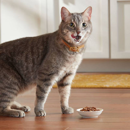 Meow Mix Tenders in Sauce Chicken & Beef 2.75oz